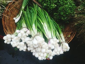 High angle view of scallions in basket at market