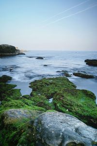 Scenic view of sea against clear sky