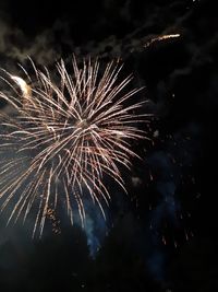 Low angle view of firework display at night