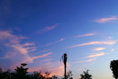 Low angle view of silhouette trees against sky