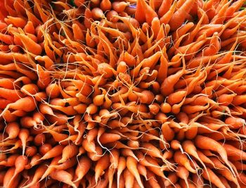 Full frame shot of orange for sale at market