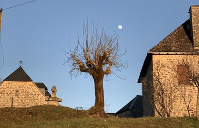 Low angle view of trees and buildings against clear sky