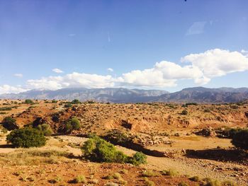 Scenic view of landscape against sky