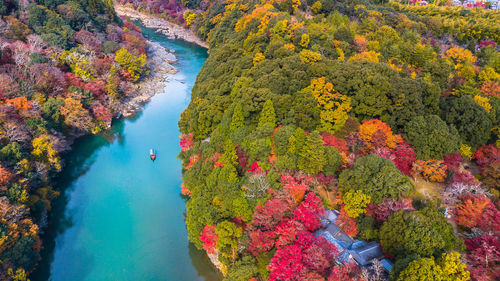 Aerial view of boat on river against trees in forest during autumn