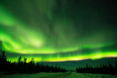 Aurora polaris over landscape at night