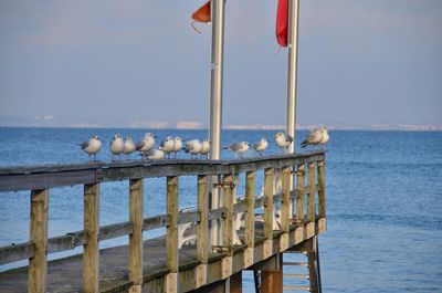 Pier over sea against sky