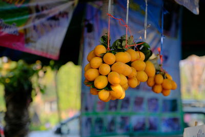 Close-up of fruits for sale at market stall