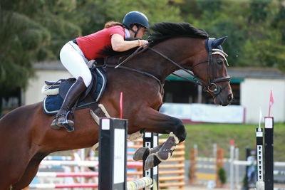 Rear view of man riding horse