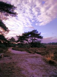 Scenic view of landscape against cloudy sky