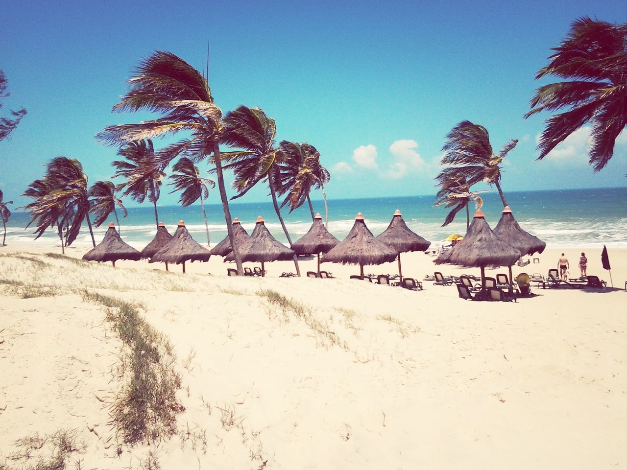 beach, sea, sand, horizon over water, shore, tree, sky, water, tranquility, palm tree, tranquil scene, beach umbrella, scenics, blue, beauty in nature, vacations, nature, thatched roof, sunlight, lounge chair