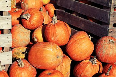 Full frame shot of pumpkins