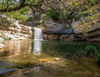 Scenic view of waterfall against trees