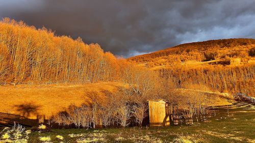 Scenic view of landscape against sky during autumn