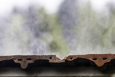 Close-up of smoke emitting from wood