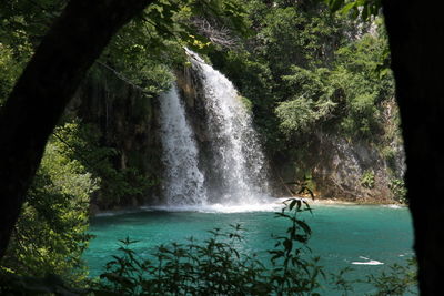 Scenic view of waterfall in forest