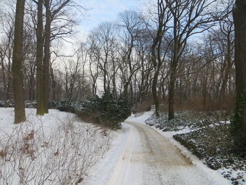 Road amidst bare trees during winter