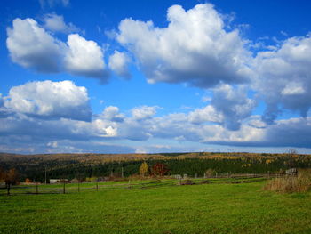 Scenic view of grassy field against sky