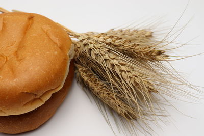High angle view of wheat on table