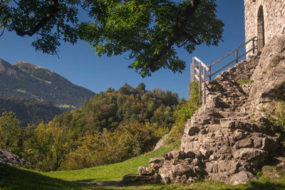 Trees and rocks by mountain against sky