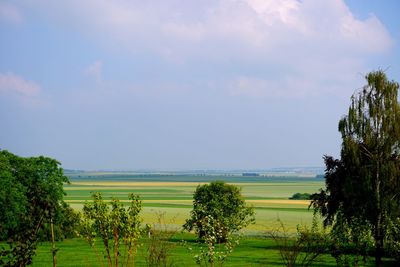 Scenic view of field against sky