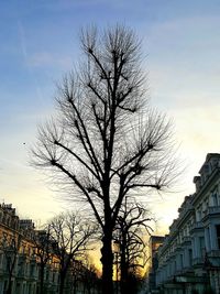 Silhouette tree against sky during sunset