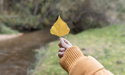 Midsection of person holding autumn leaves