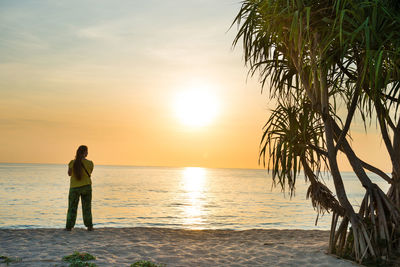 Rear view of man standing on beach during sunset