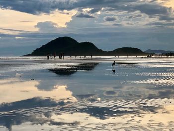 Scenic view of beach against sky during sunset