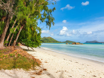 Tropical landscape, sandy beach, travel, vacation, sea.
