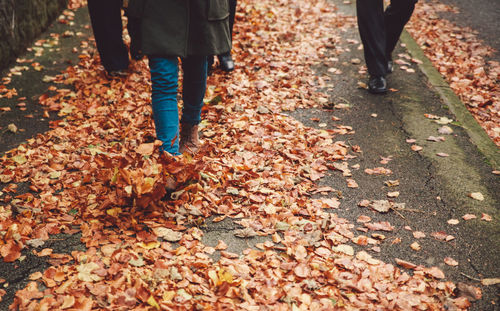 Low section of people walking on autumn leaves