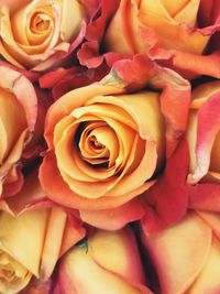 High angle view of rose bouquet