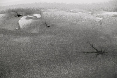 Close-up of crab on sand at beach