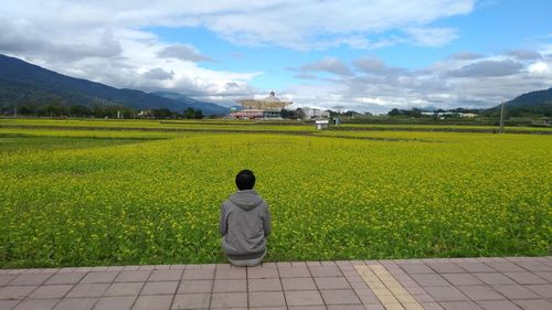 Rear view of man sitting on flower field against blue sky