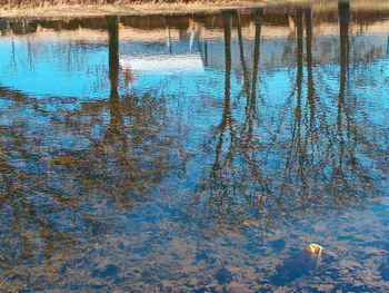 High angle view of reflection of trees in lake