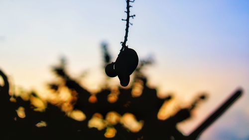 Close-up of silhouette plant against sky at sunset