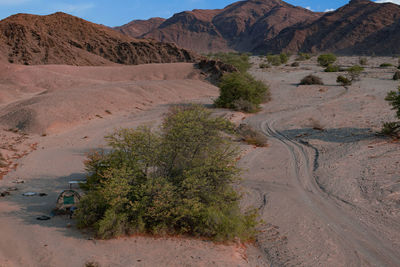 Scenic view of desert