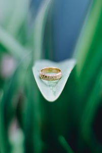 Close-up of water drop on leaf