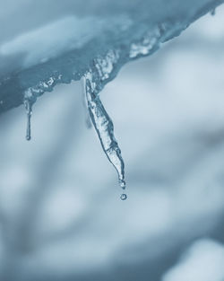 Close-up of frozen water