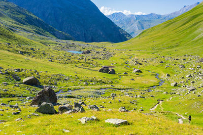 Scenic view of green landscape