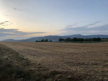 Scenic view of field against sky during sunset