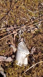 High angle view of snow on field in forest