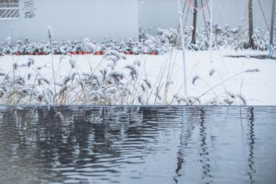 Scenic view of frozen lake during winter