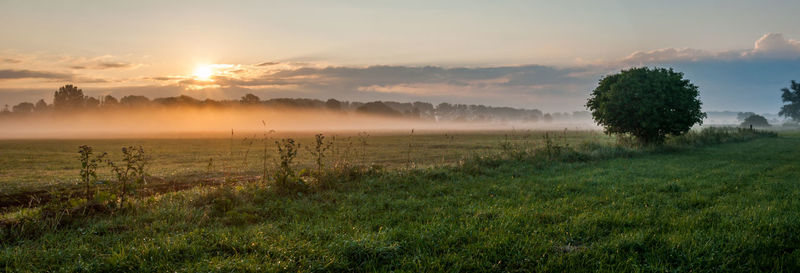 Scenic view of field against sky at sunset