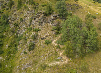 High angle view of trees on landscape