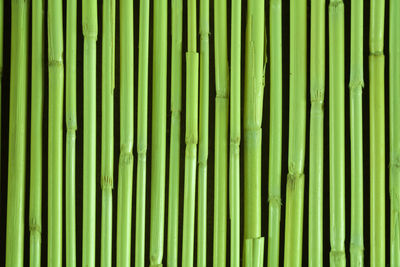 Full frame shot of bamboo green leaves