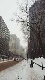 Bare trees in city during winter