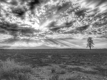 Scenic view of landscape against cloudy sky