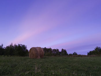 Hay bales on field against sky