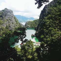 Scenic view of river amidst trees against sky