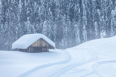 Snow covered land and trees by building